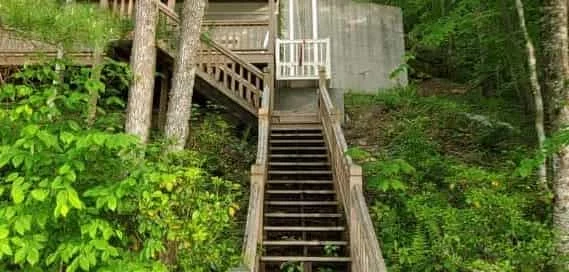 Wooden staircase leading up a hillside. Home elevators visible to the right amid dense green forest and multi-level wooden structure.